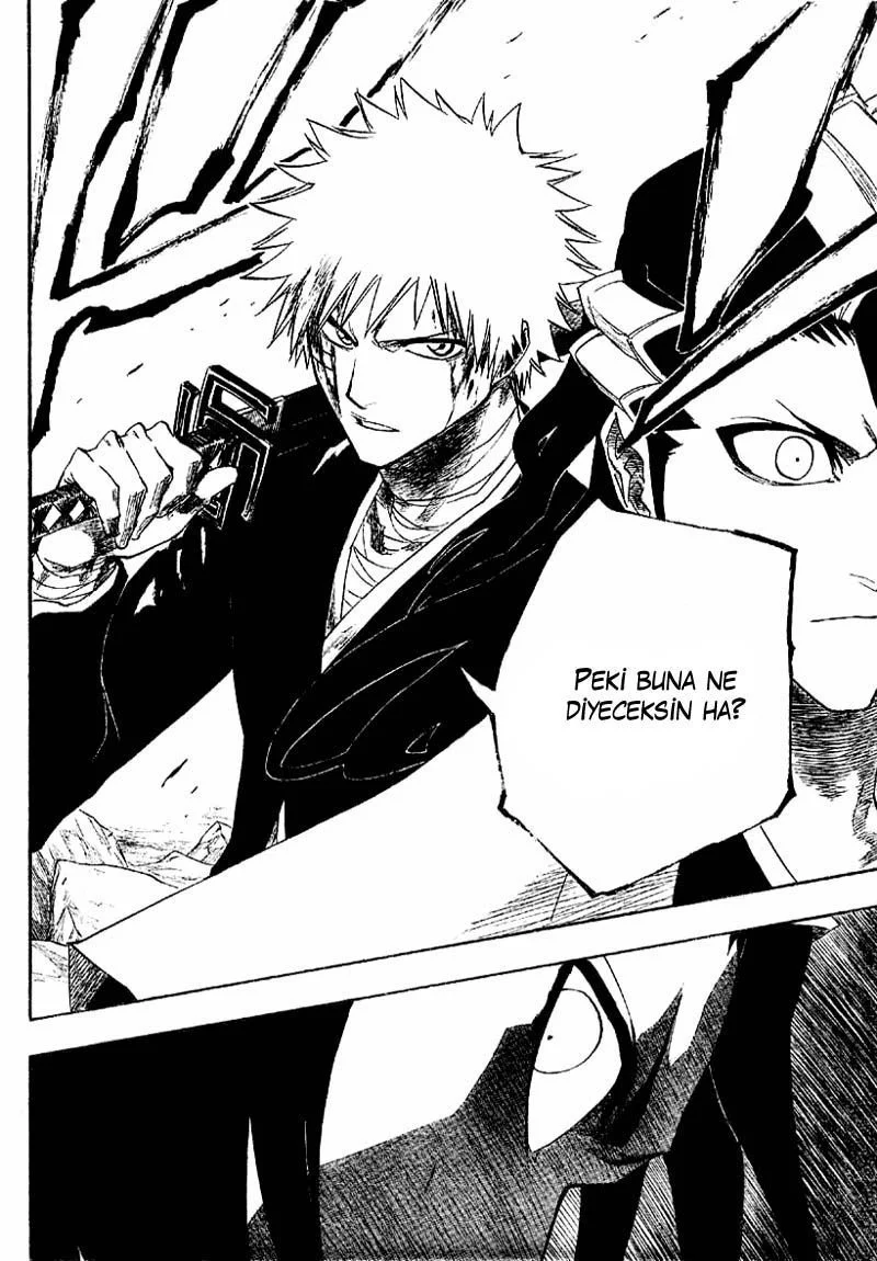 Bleach - Bölüm 163 - Sayfa 16