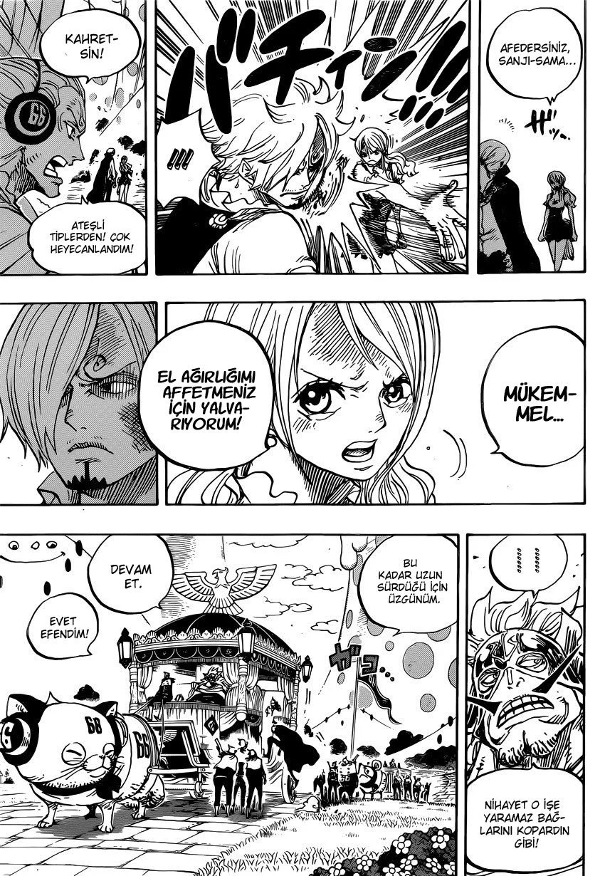 One Piece - Bölüm 844 - Sayfa 12