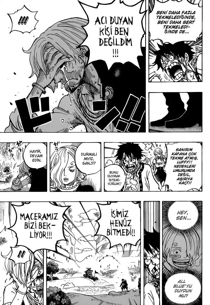 One Piece - Bölüm 844 - Sayfa 14