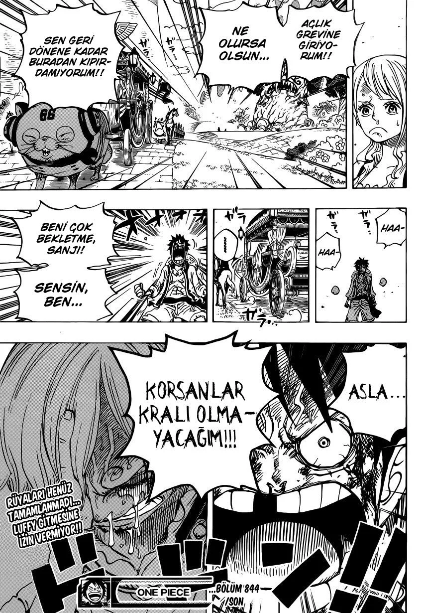 One Piece - Bölüm 844 - Sayfa 16