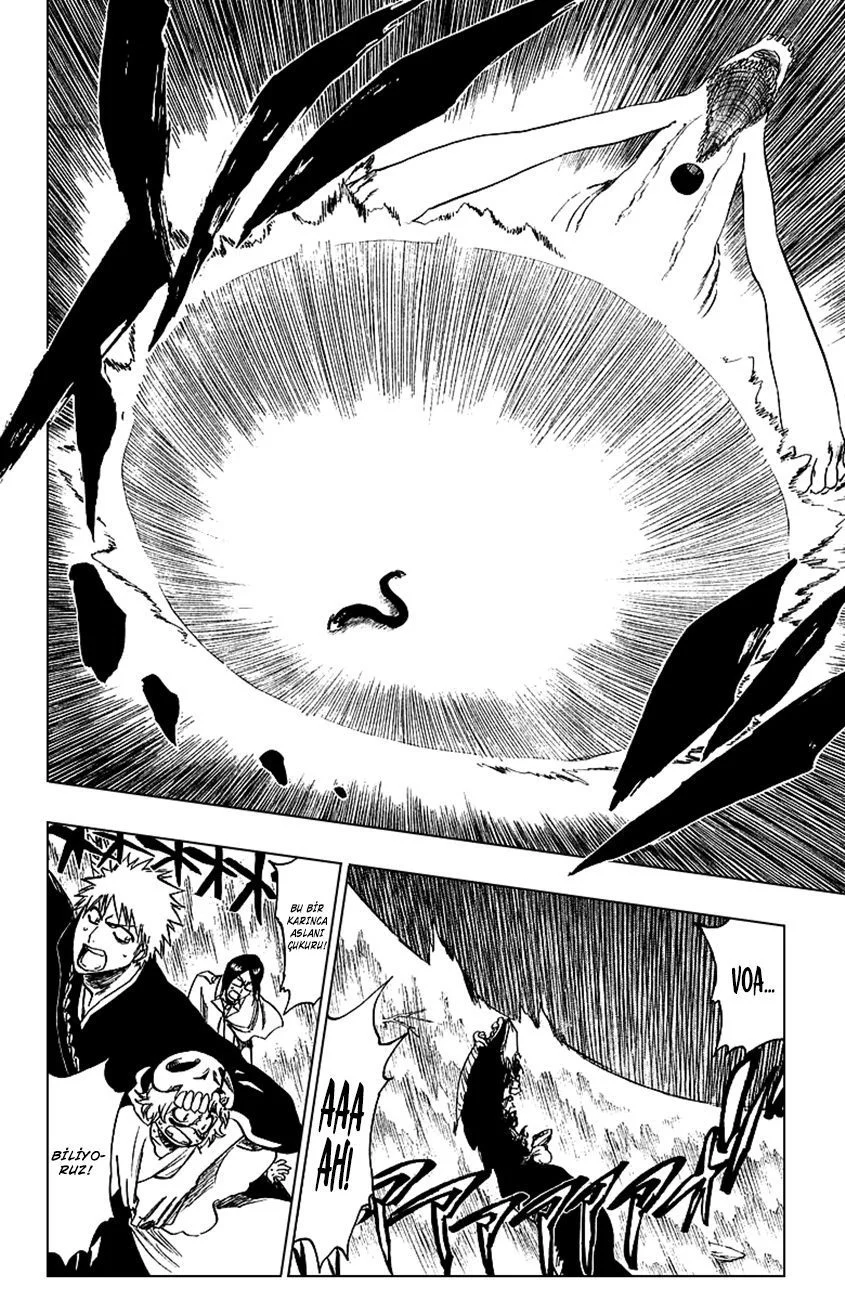 Bleach - Bölüm 246 - Sayfa 16