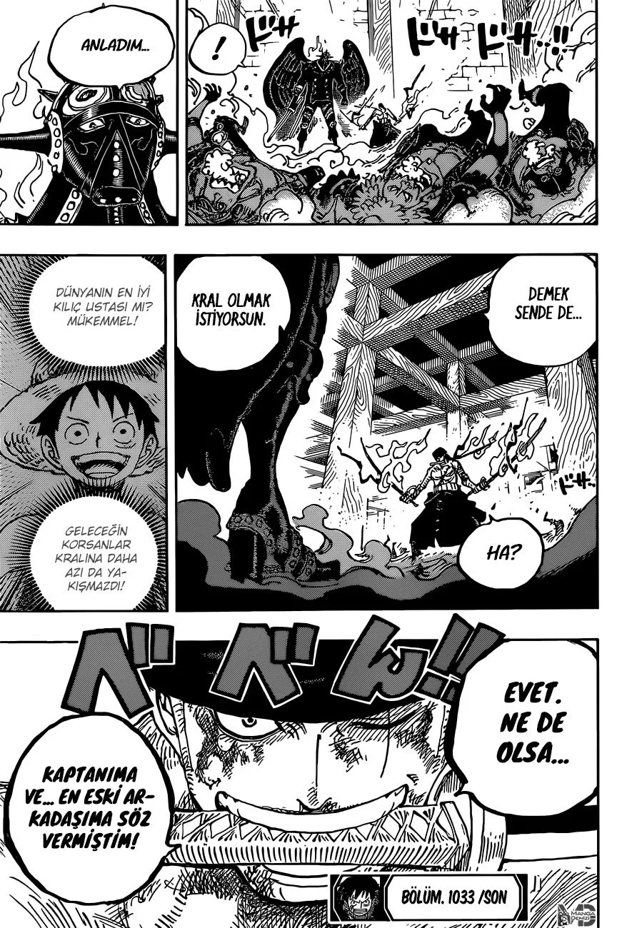 One Piece - Bölüm 1033 - Sayfa 17