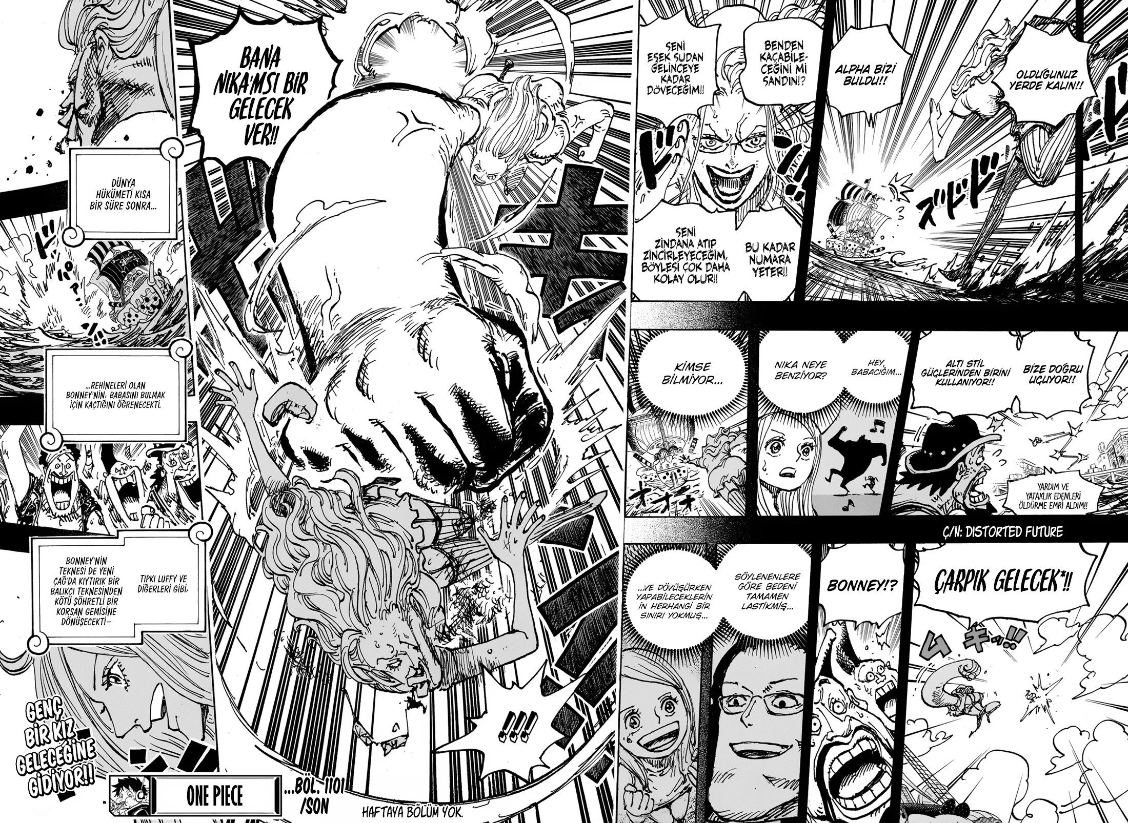 One Piece - Bölüm 1101 - Sayfa 17