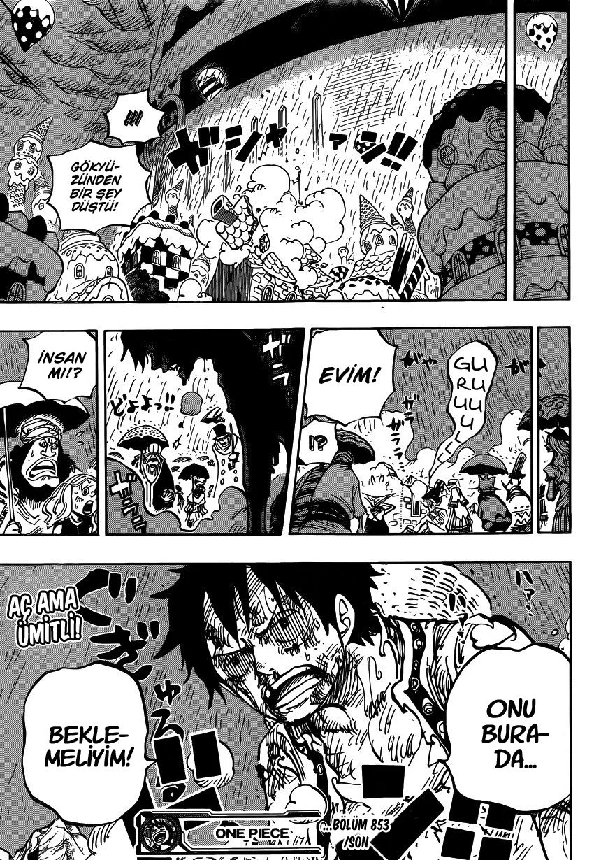One Piece - Bölüm 853 - Sayfa 15