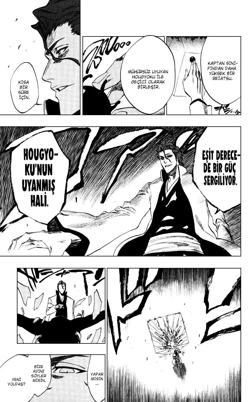 Bleach - Bölüm 229 - Sayfa 14