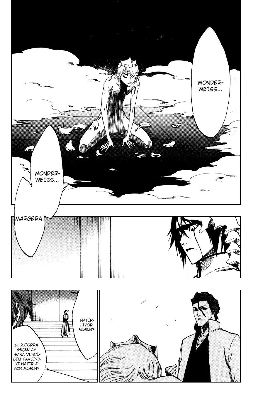 Bleach - Bölüm 229 - Sayfa 15