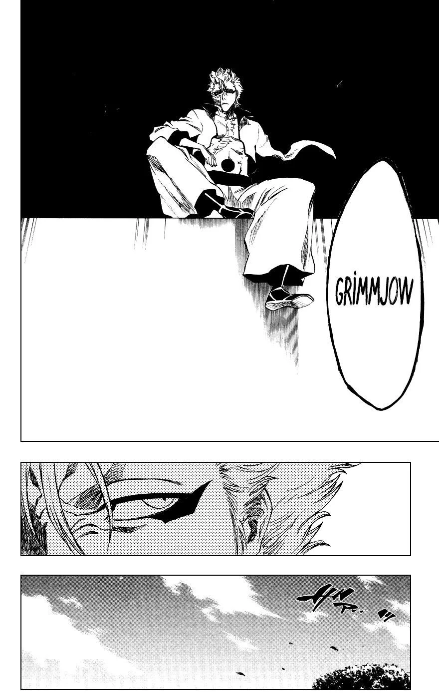 Bleach - Bölüm 229 - Sayfa 17