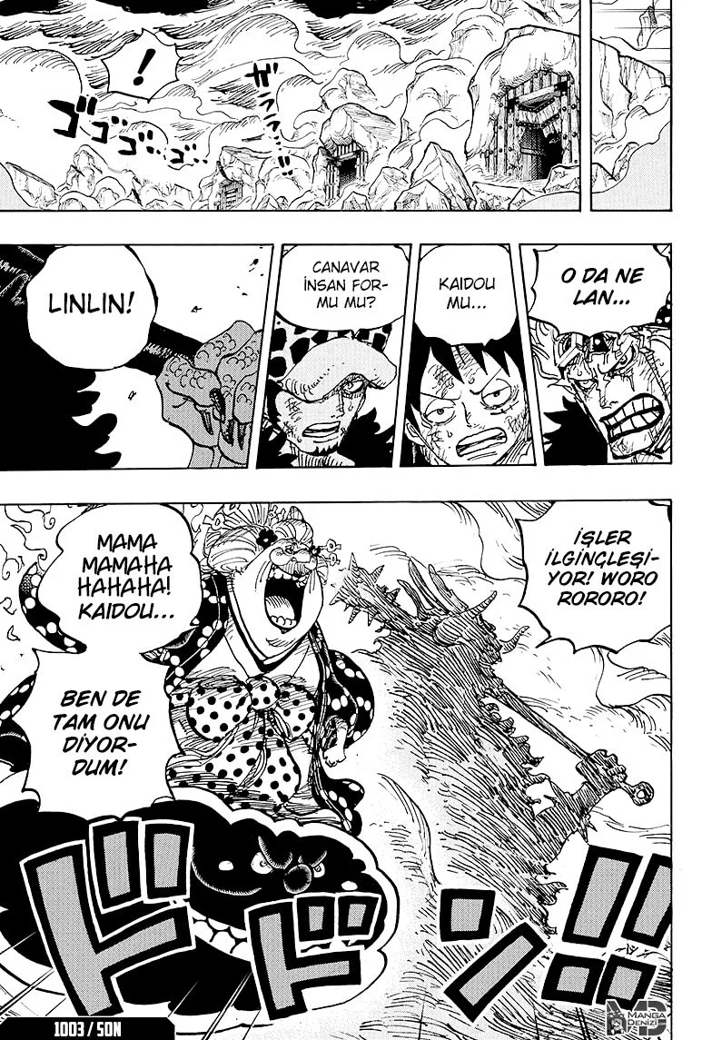 One Piece - Bölüm 1003 - Sayfa 13