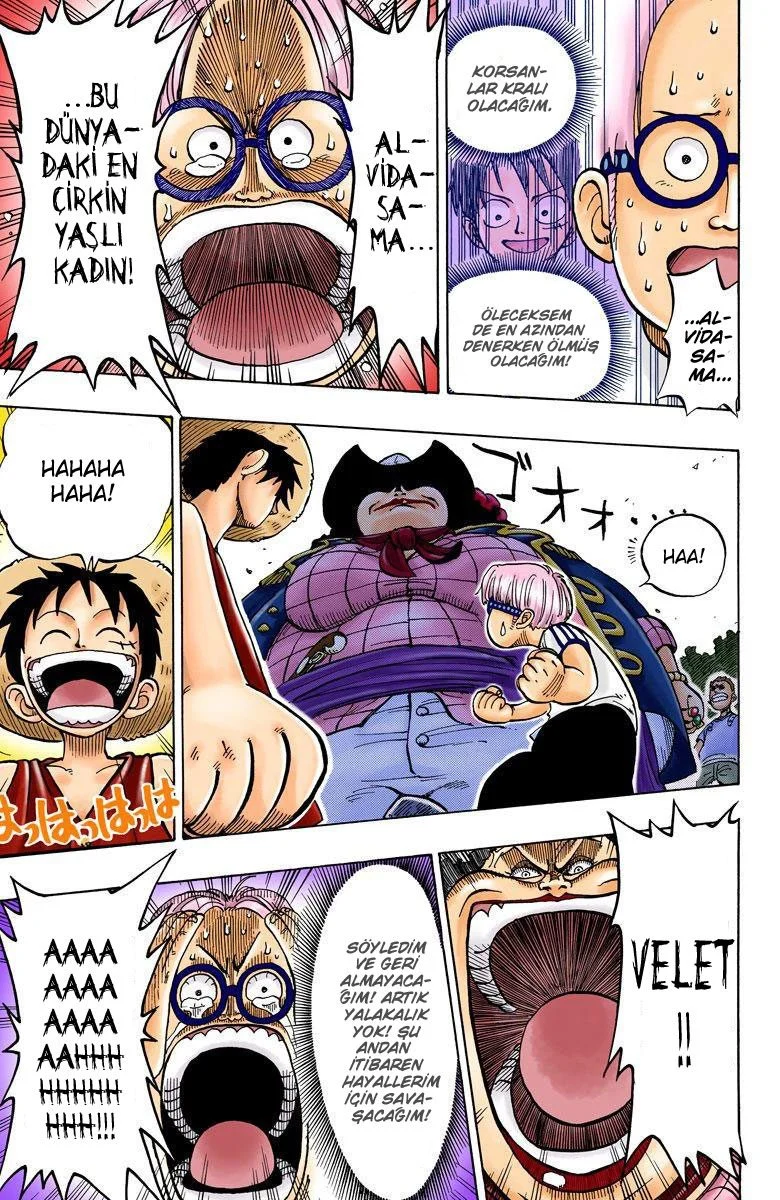 One Piece - Bölüm 2 - Sayfa 19