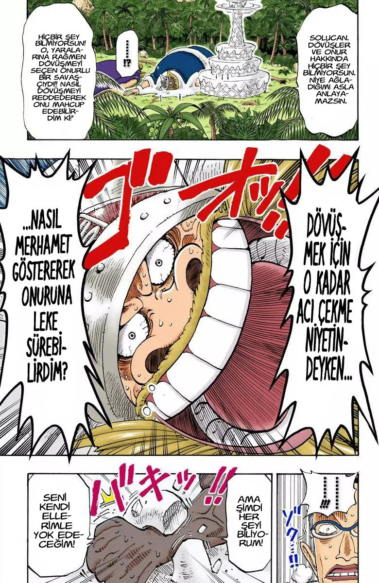 One Piece - Bölüm 121 - Sayfa 17