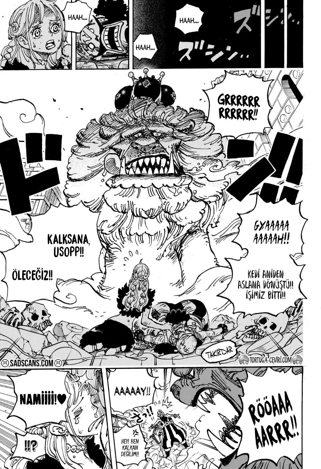 One Piece - Bölüm 1127 - Sayfa 12