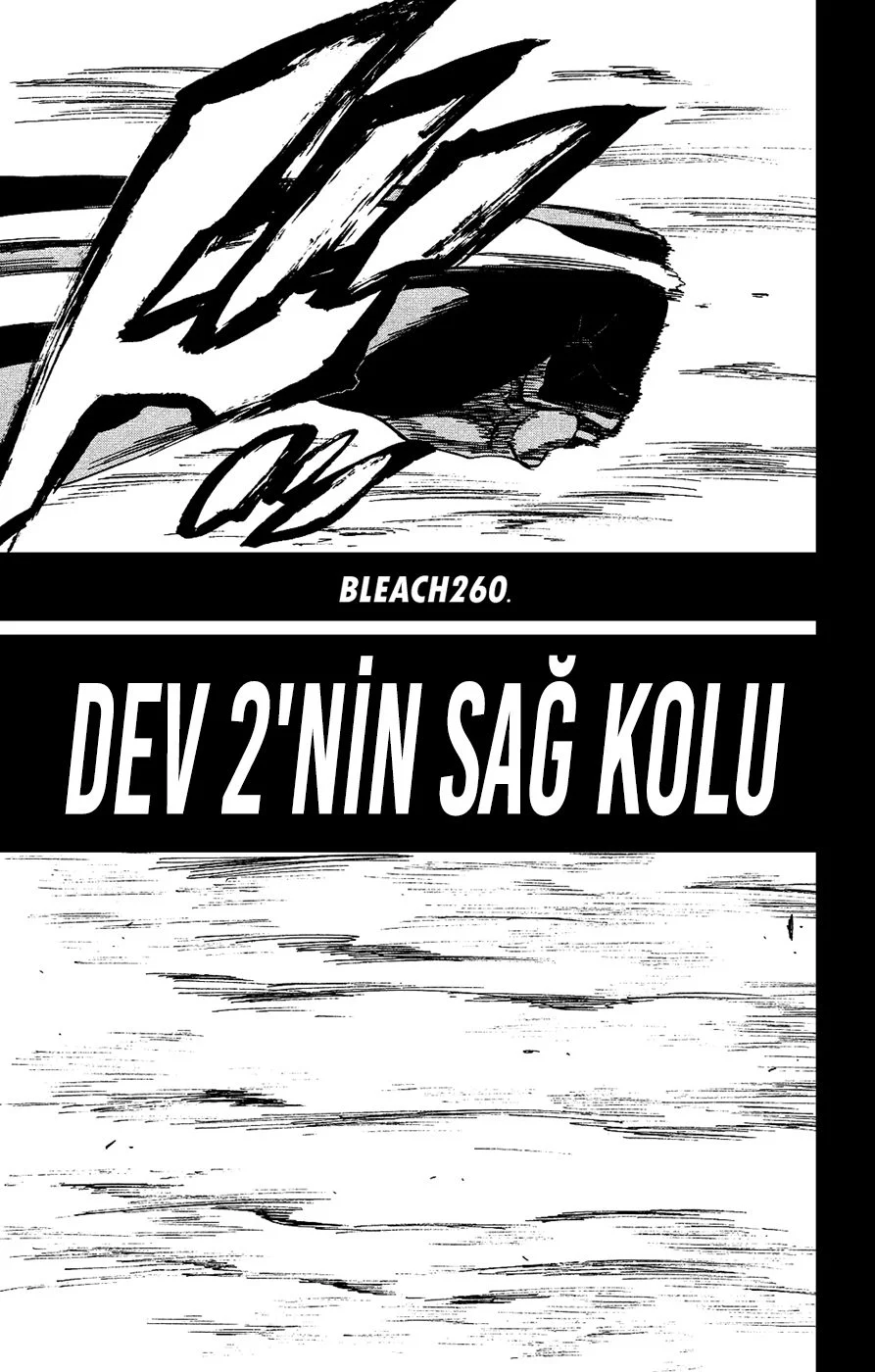 Bleach - Bölüm 260 - Sayfa 5