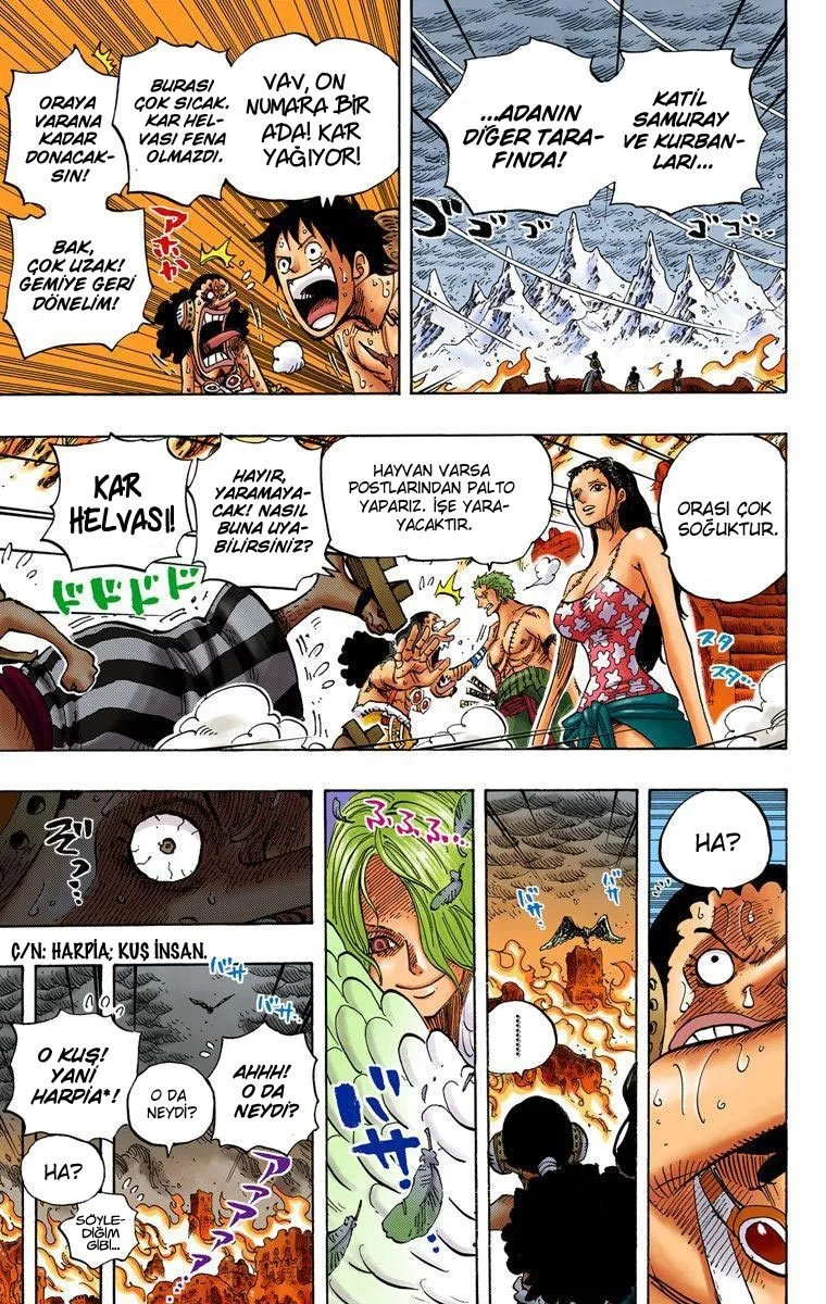 One Piece - Bölüm 657 - Sayfa 5