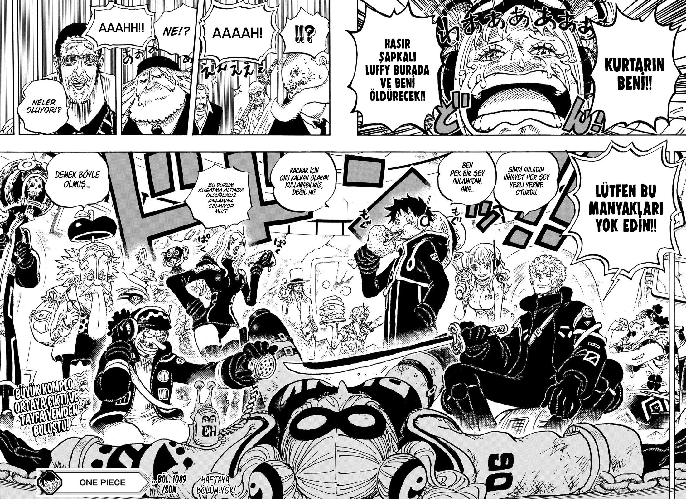One Piece - Bölüm 1089 - Sayfa 16
