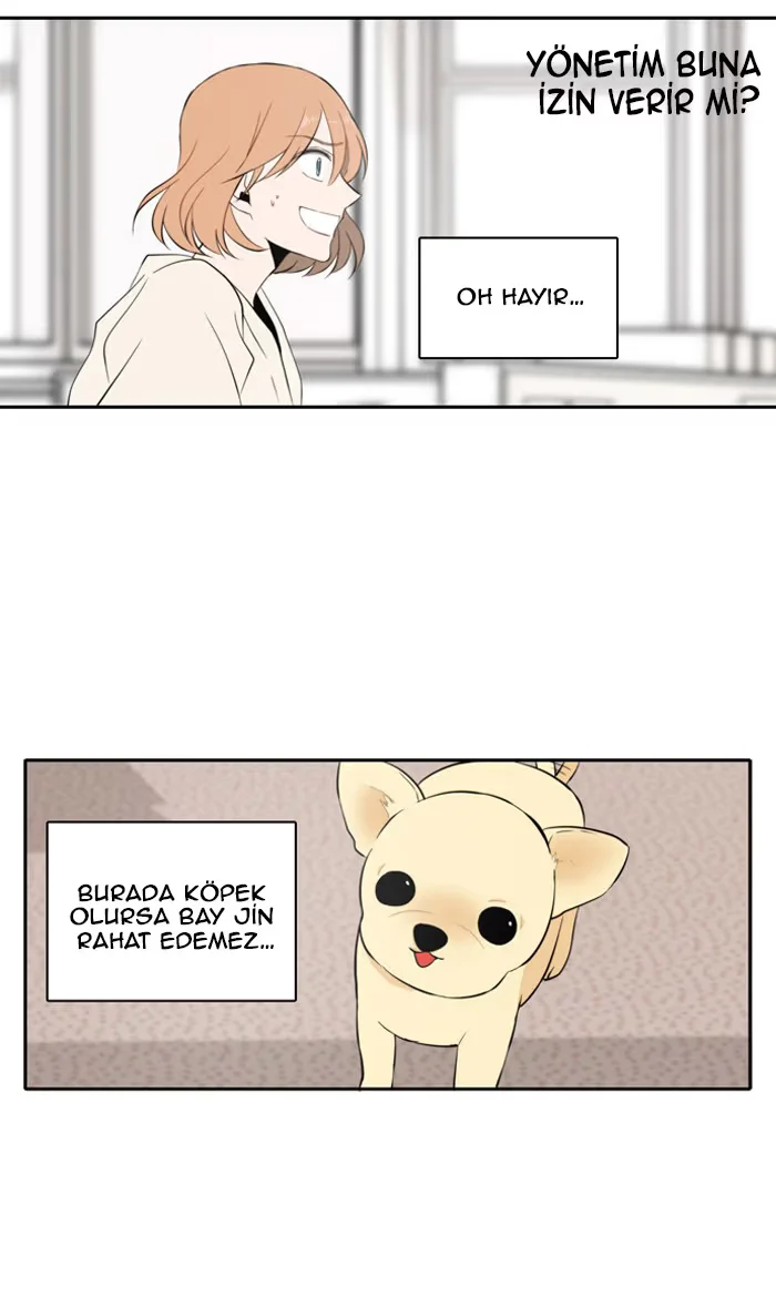 A Good Day to Be a Dog - Bölüm 13 - Sayfa 37