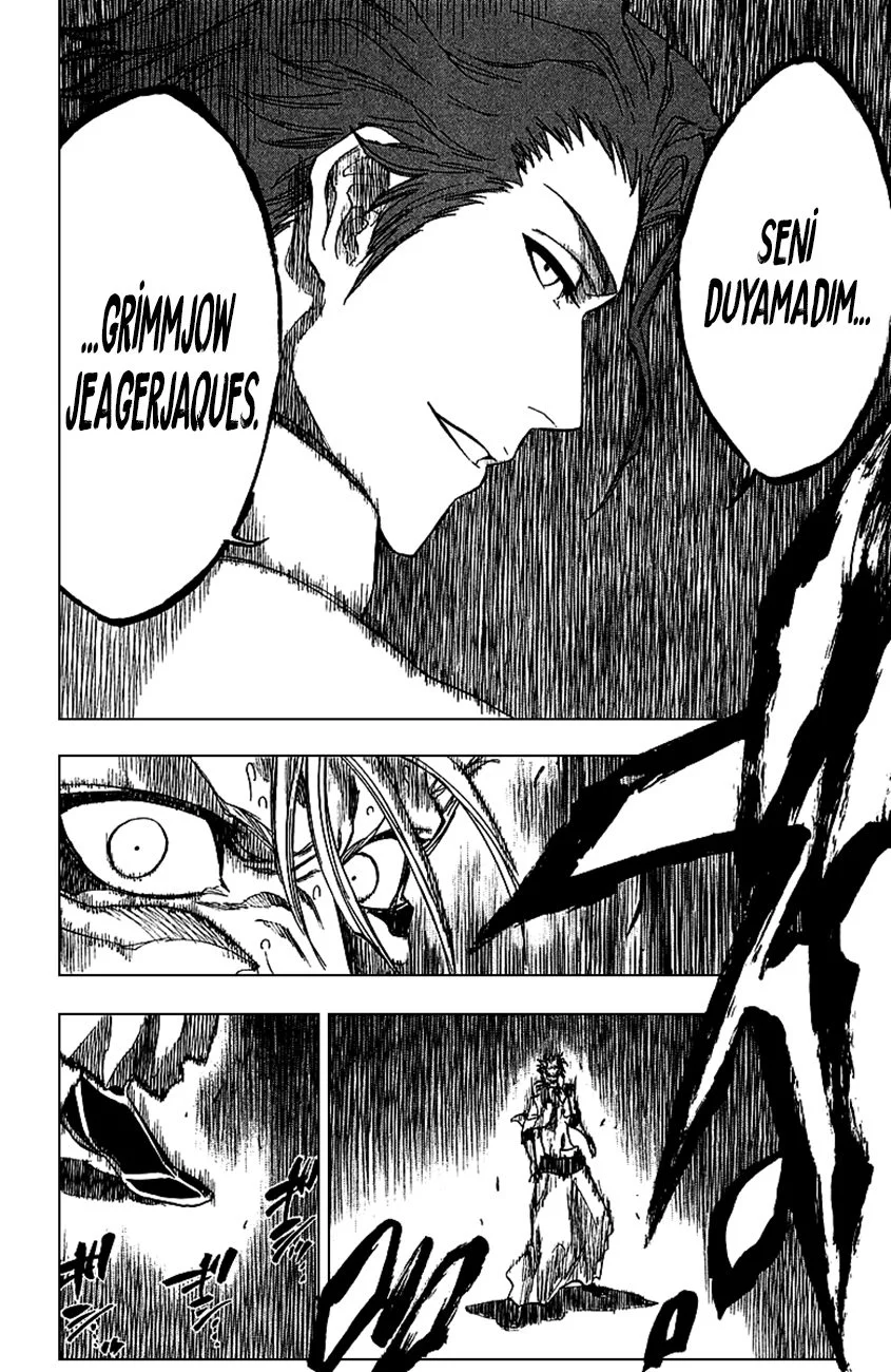 Bleach - Bölüm 245 - Sayfa 9