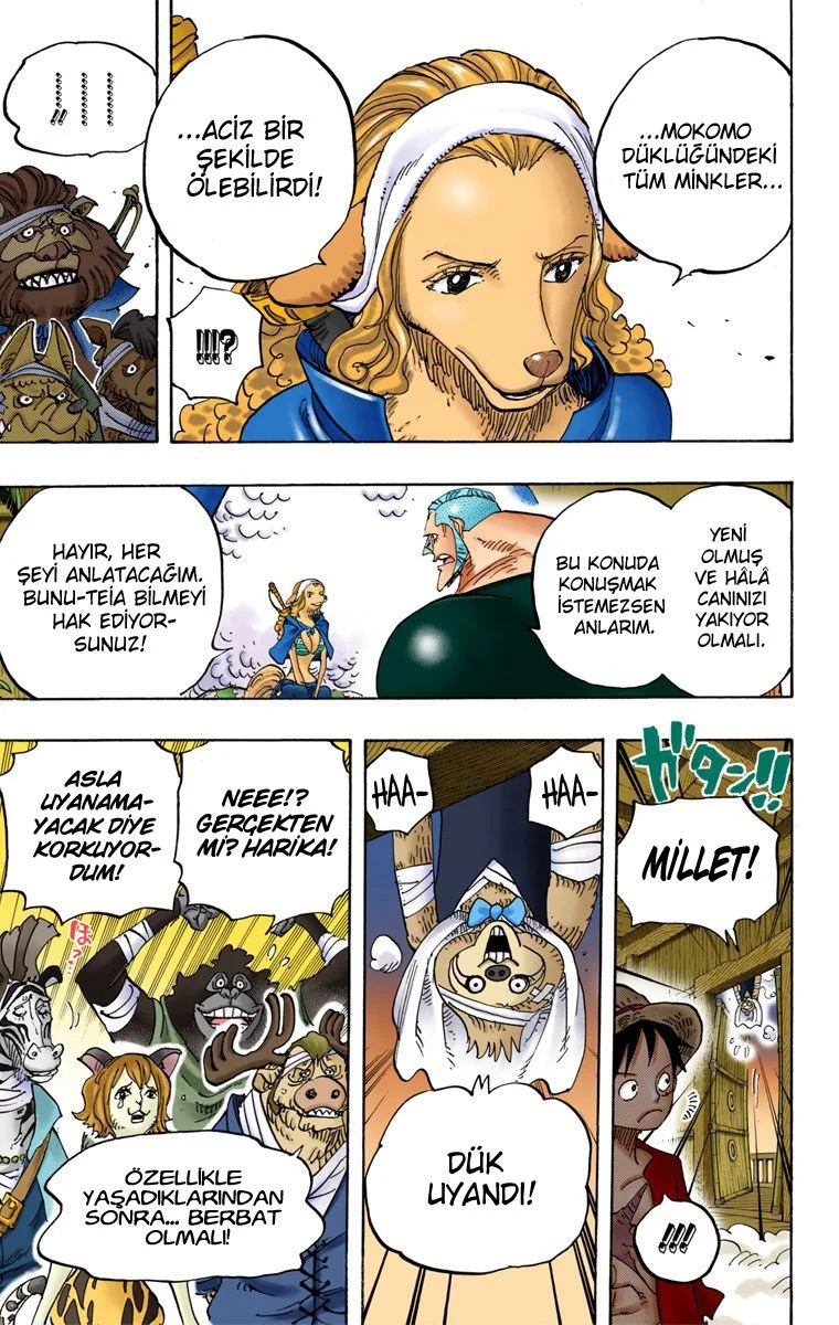One Piece - Bölüm 807.1 - Sayfa 12