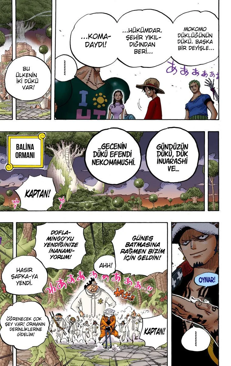 One Piece - Bölüm 807.1 - Sayfa 14
