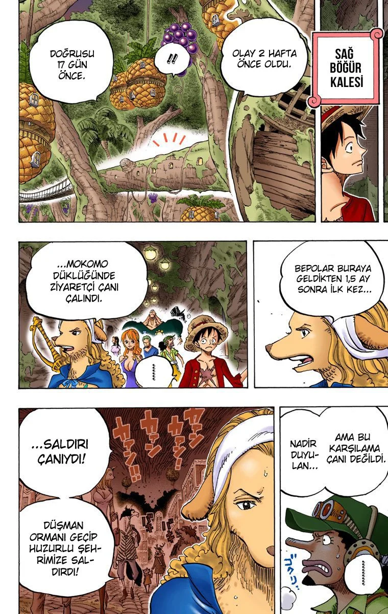 One Piece - Bölüm 807.1 - Sayfa 15