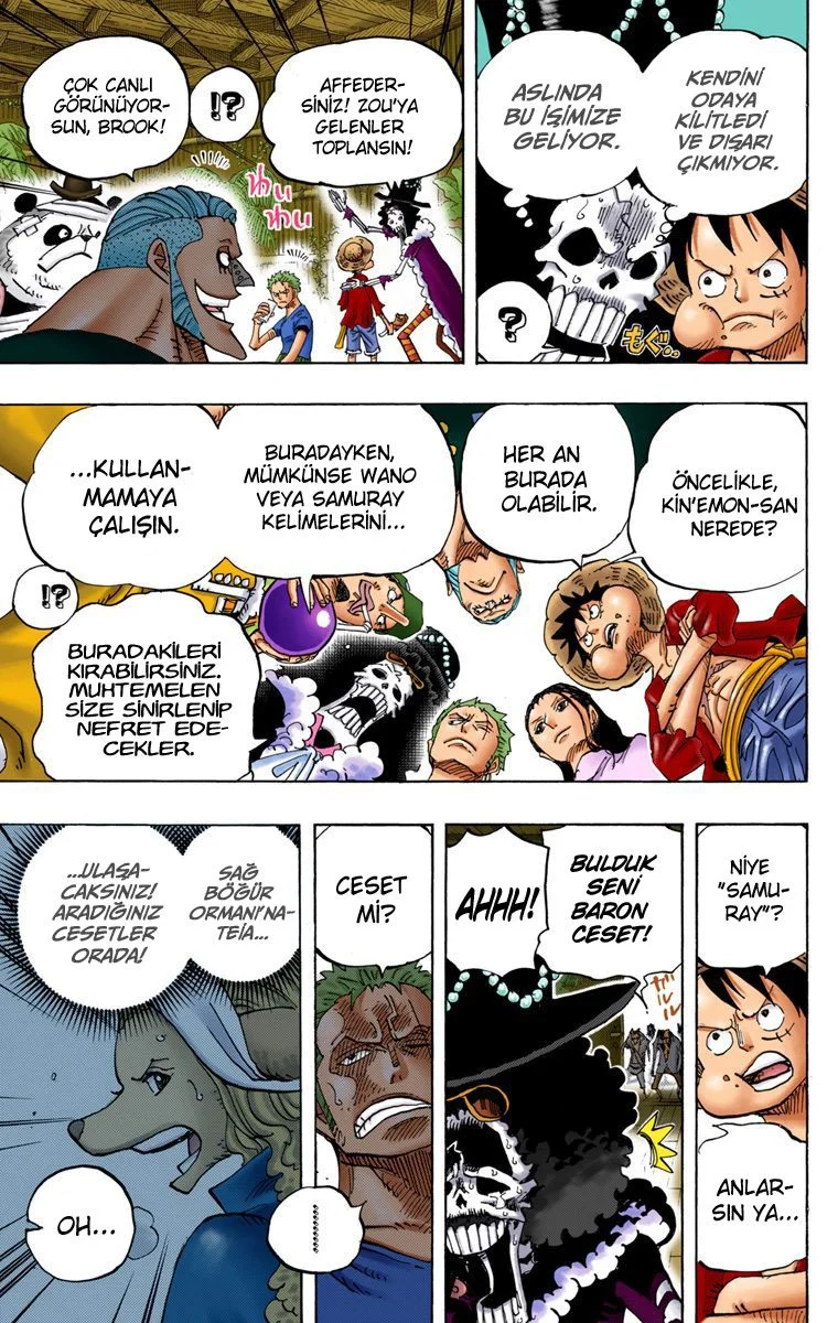 One Piece - Bölüm 807.1 - Sayfa 4