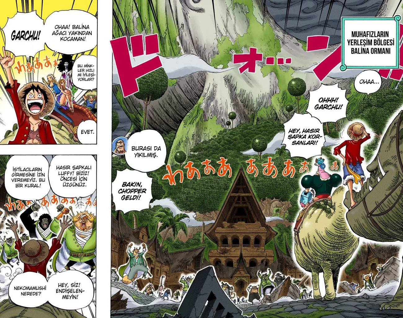 One Piece - Bölüm 814 - Sayfa 10
