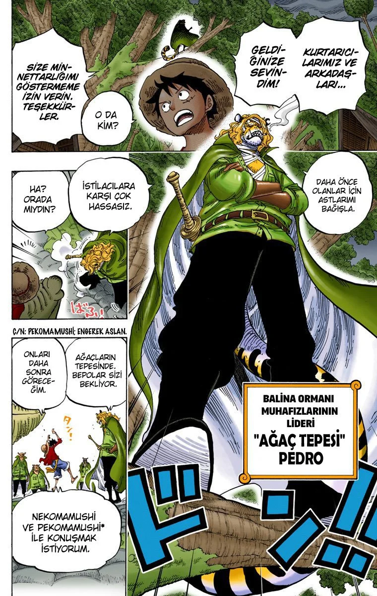 One Piece - Bölüm 814 - Sayfa 11