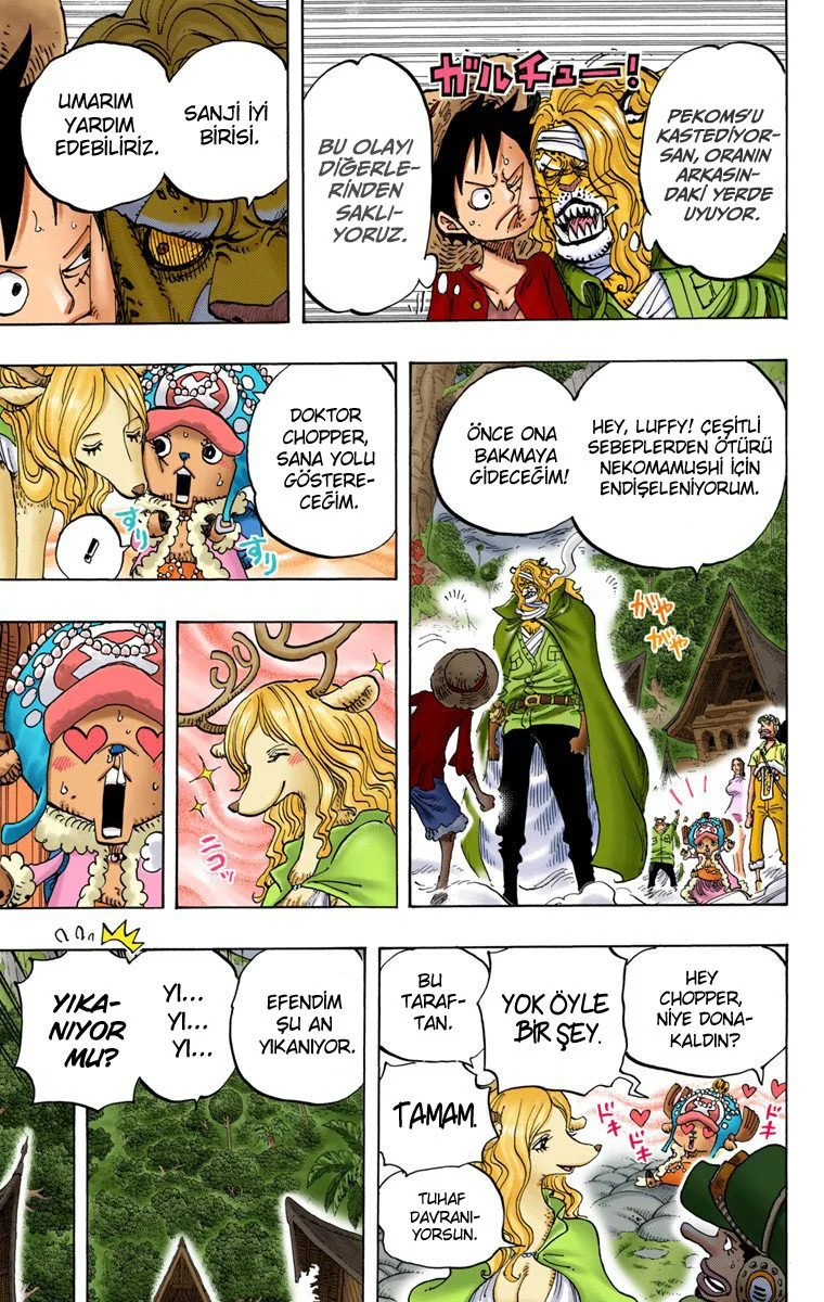 One Piece - Bölüm 814 - Sayfa 12