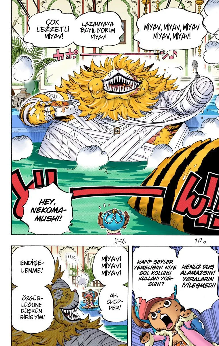 One Piece - Bölüm 814 - Sayfa 13