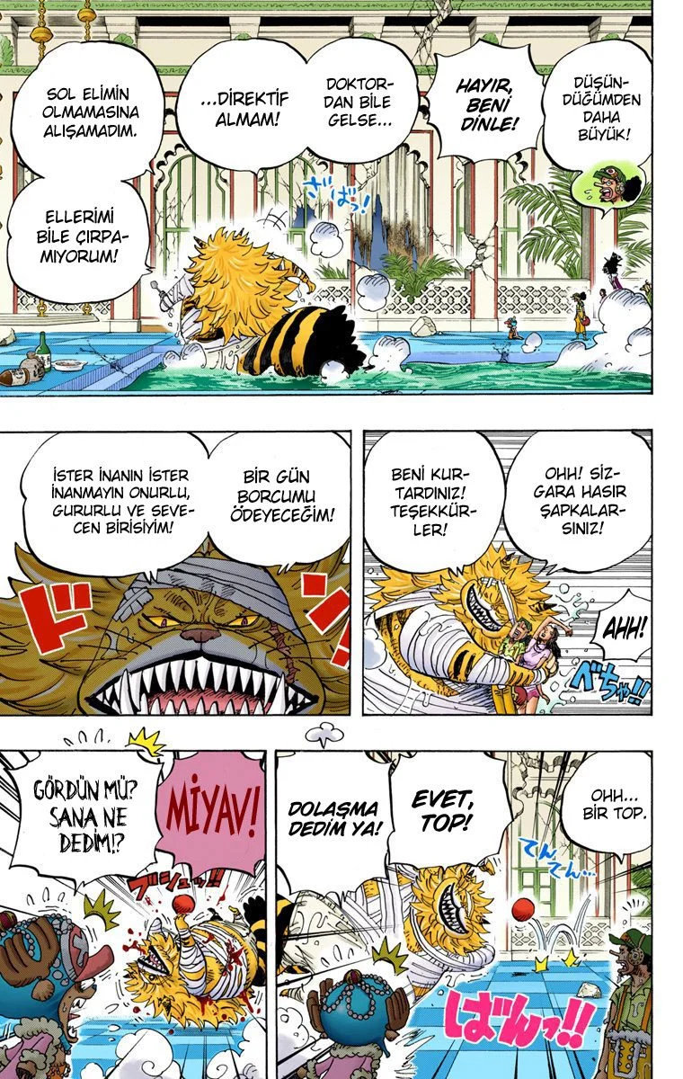 One Piece - Bölüm 814 - Sayfa 14