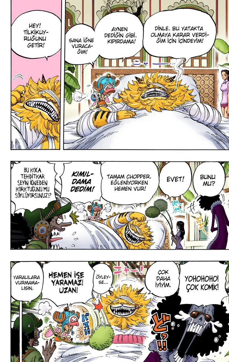 One Piece - Bölüm 814 - Sayfa 15