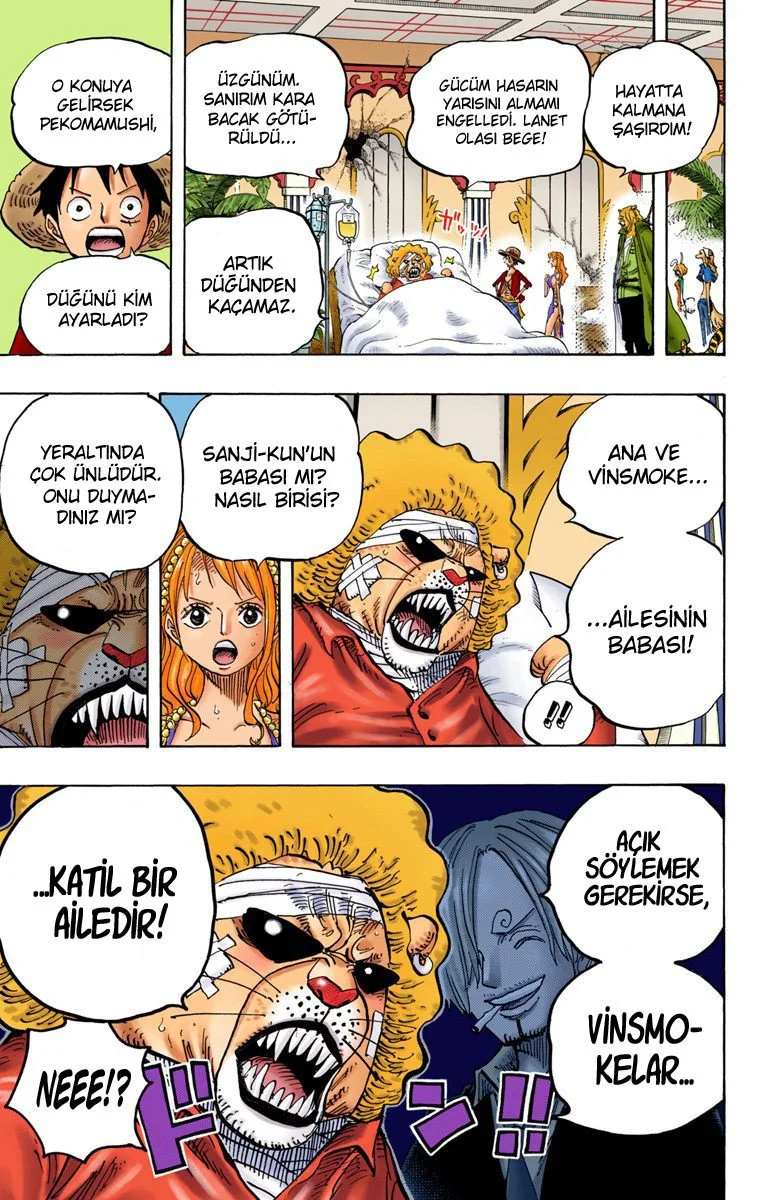 One Piece - Bölüm 814 - Sayfa 16