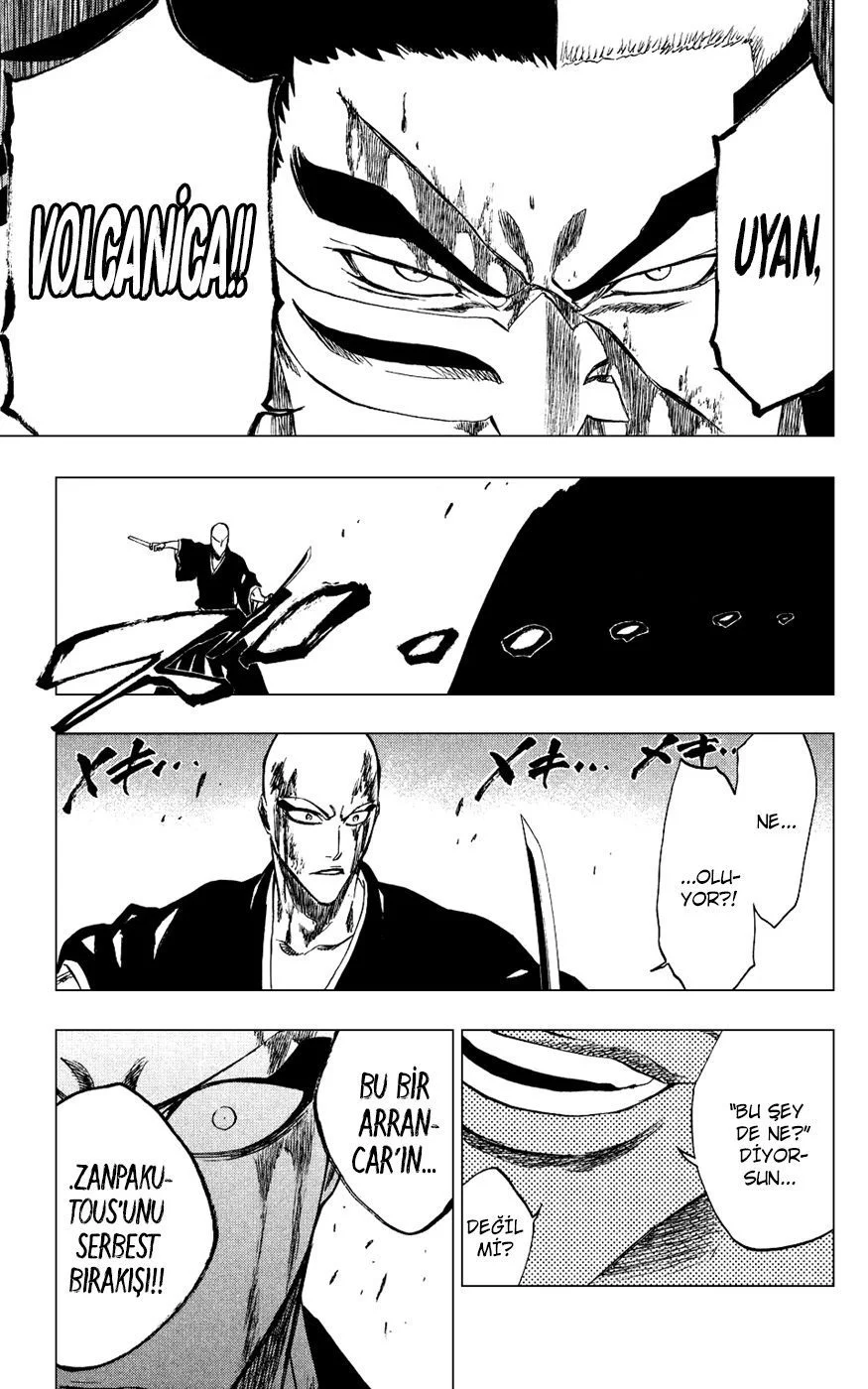 Bleach - Bölüm 203 - Sayfa 17