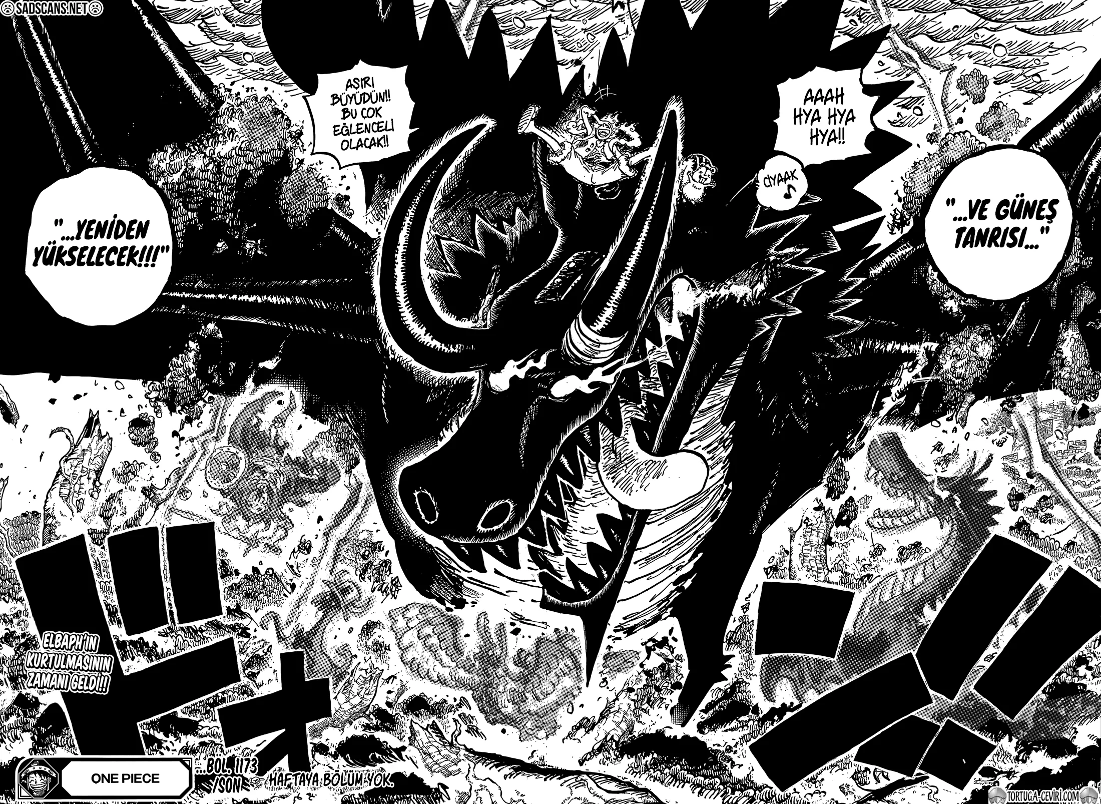 One Piece - Bölüm 1174 - Sayfa 16