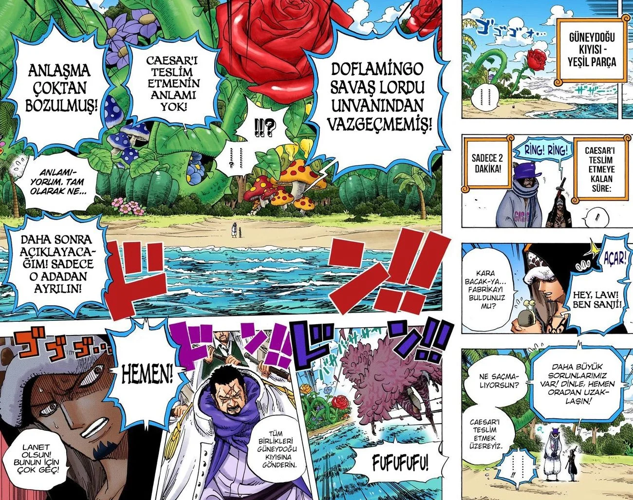 One Piece - Bölüm 711 - Sayfa 17