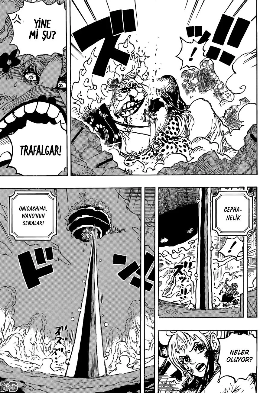 One Piece - Bölüm 1039 - Sayfa 11