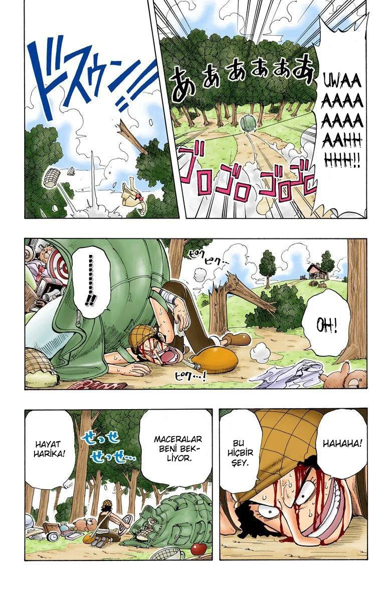 One Piece - Bölüm 41 - Sayfa 6