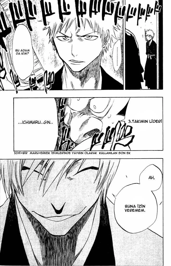 Bleach - Bölüm 74 - Sayfa 17