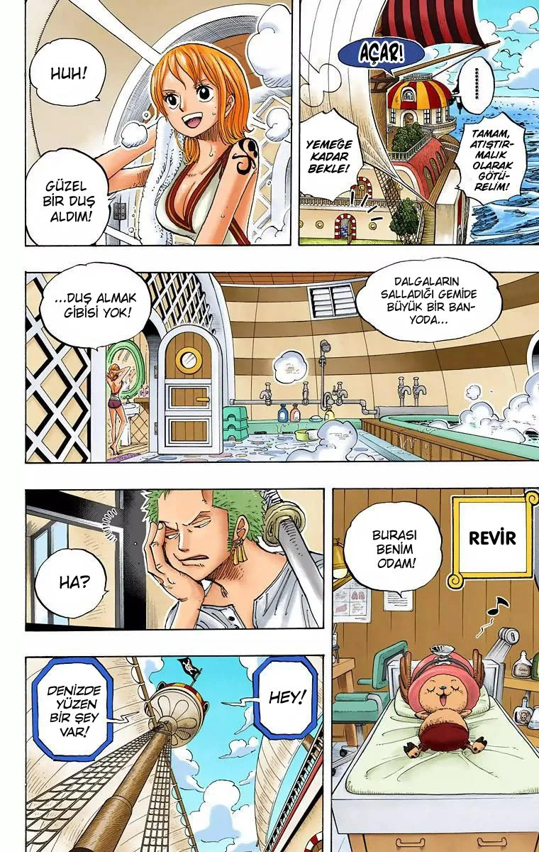 One Piece - Bölüm 442 - Sayfa 4