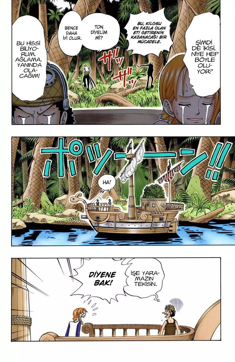 One Piece - Bölüm 115 - Sayfa 15