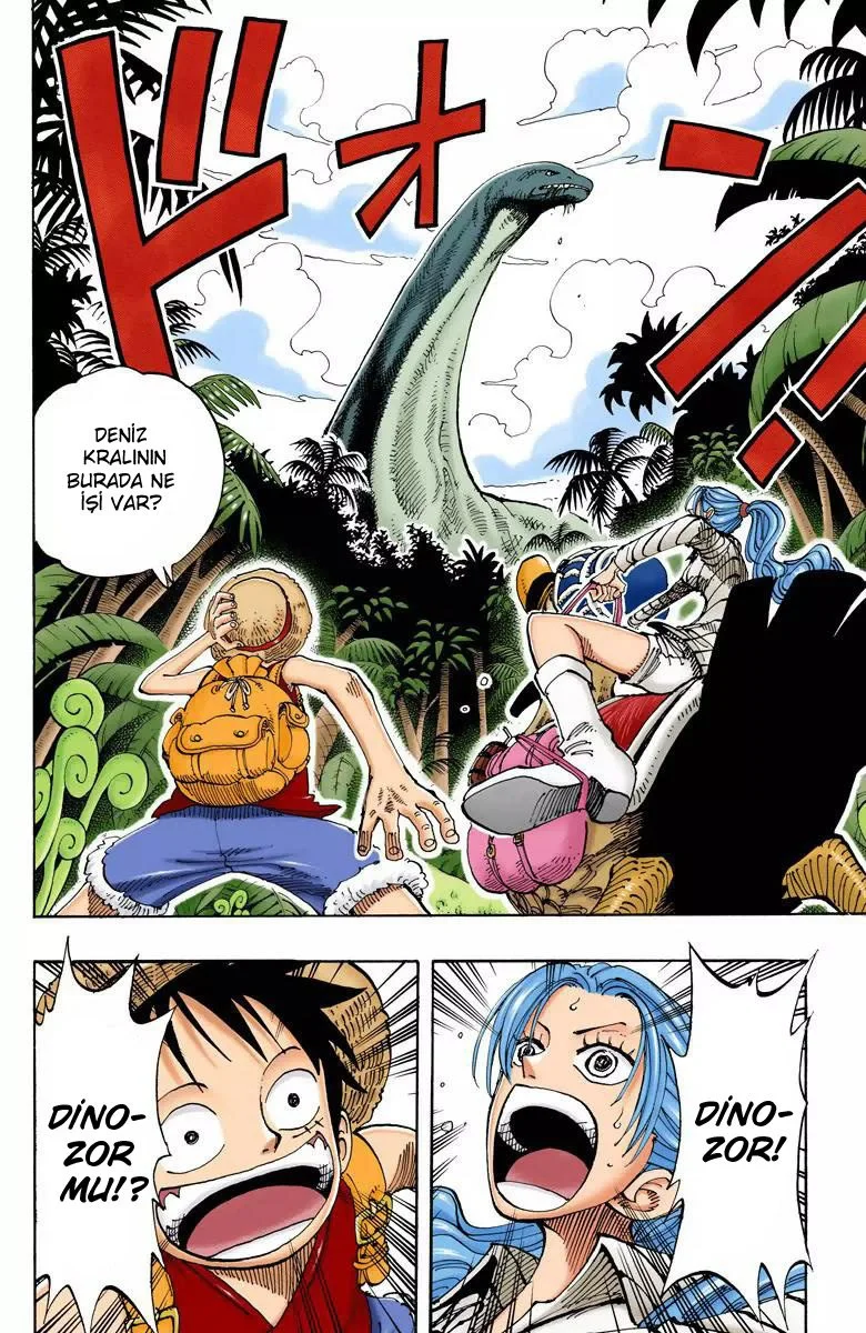 One Piece - Bölüm 115 - Sayfa 17