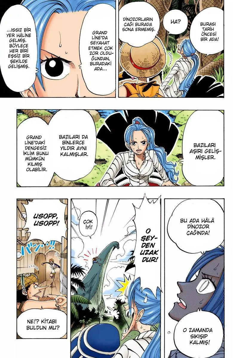 One Piece - Bölüm 115 - Sayfa 18