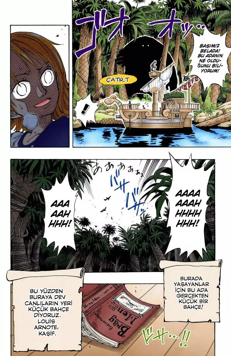 One Piece - Bölüm 115 - Sayfa 19