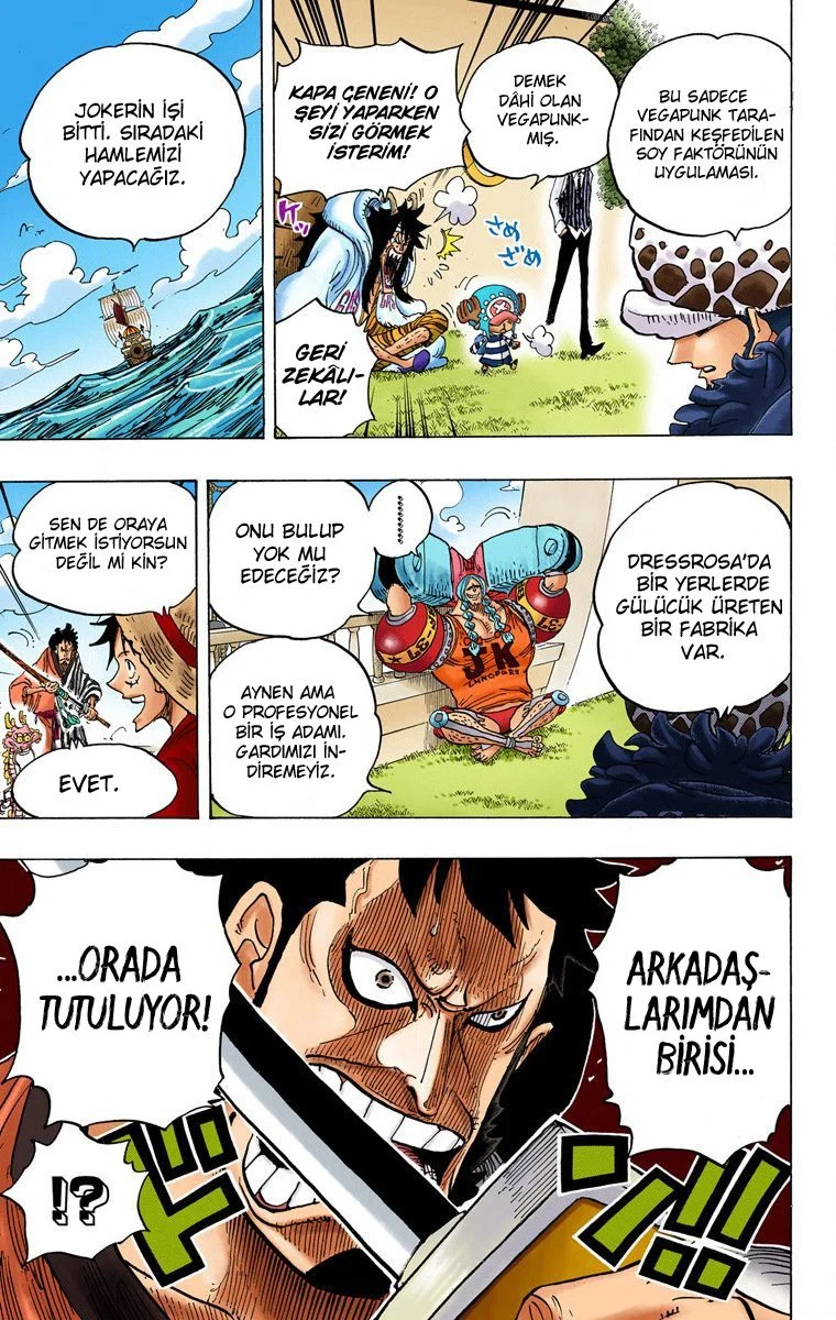 One Piece - Bölüm 698 - Sayfa 17