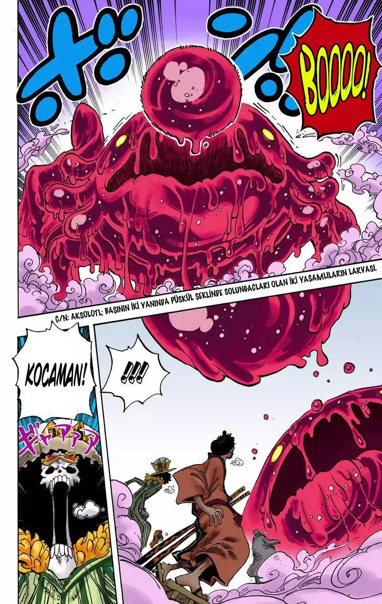 One Piece - Bölüm 673 - Sayfa 10