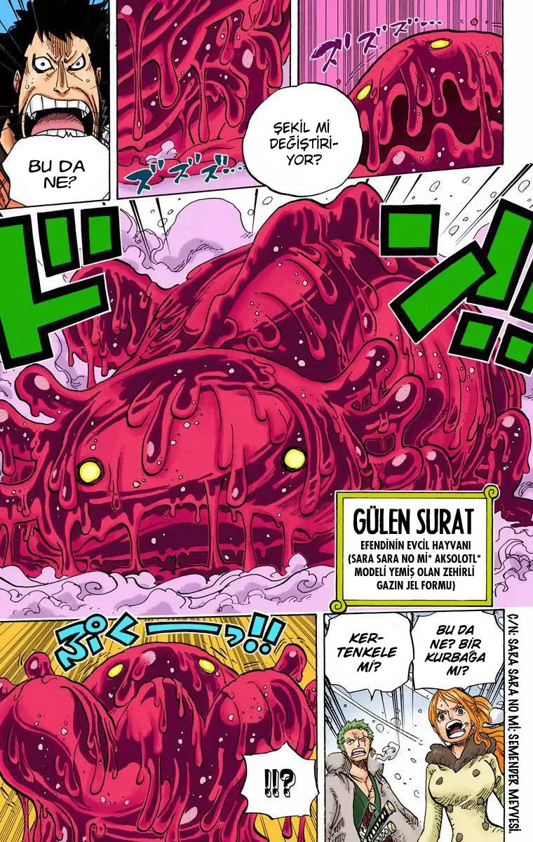 One Piece - Bölüm 673 - Sayfa 9