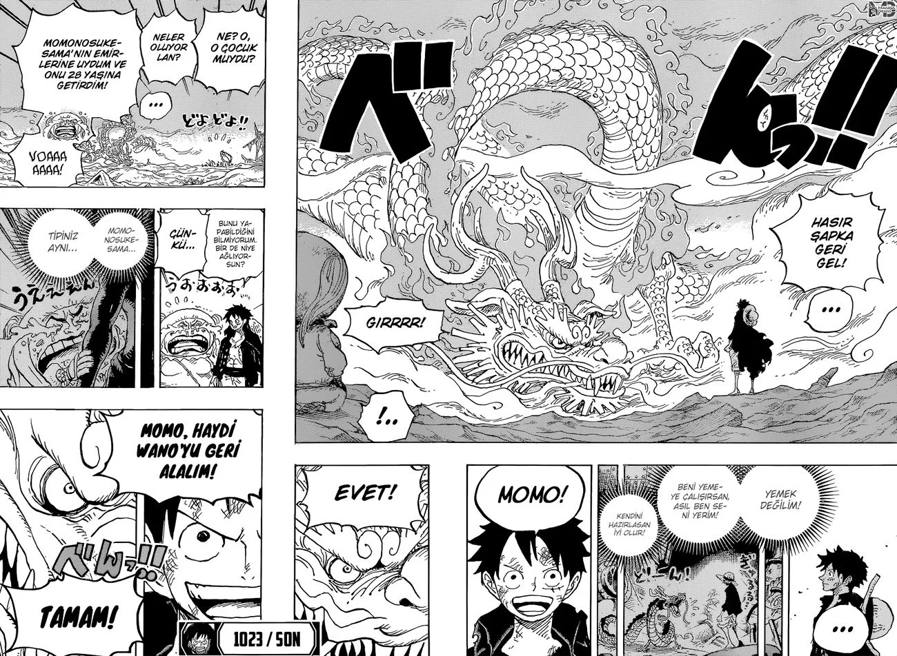 One Piece - Bölüm 1023 - Sayfa 17