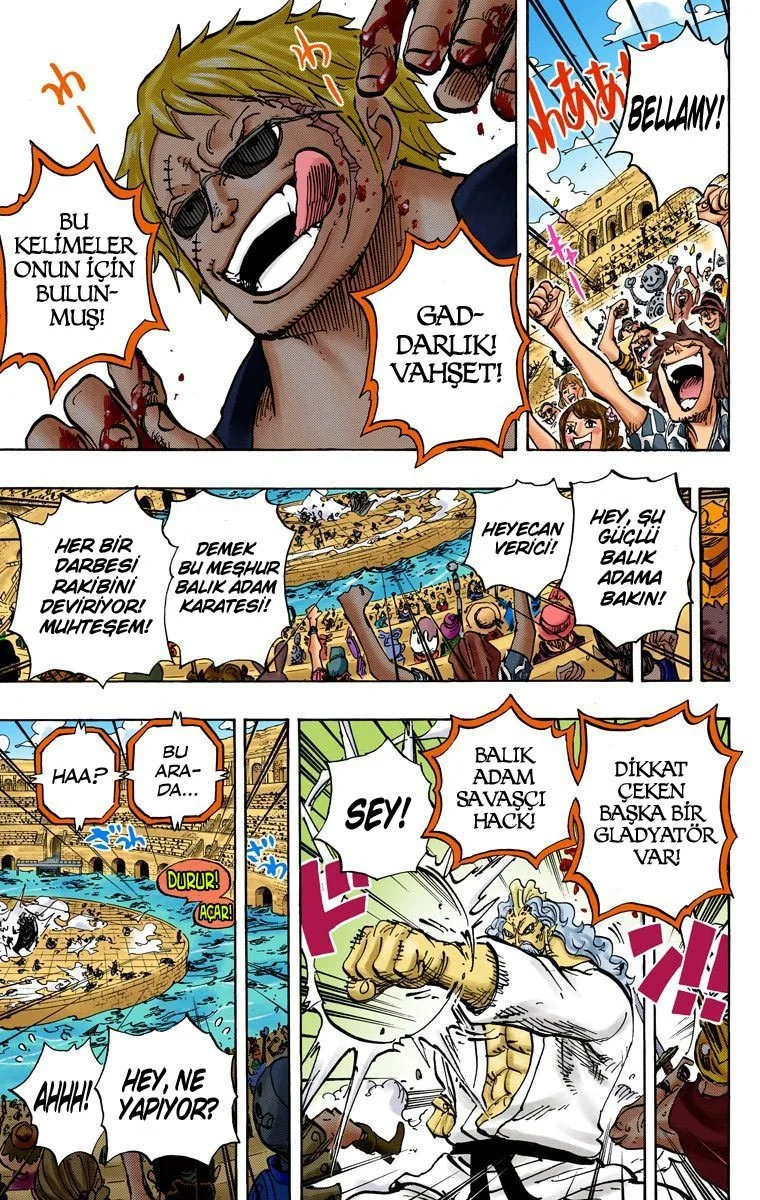 One Piece - Bölüm 708 - Sayfa 13