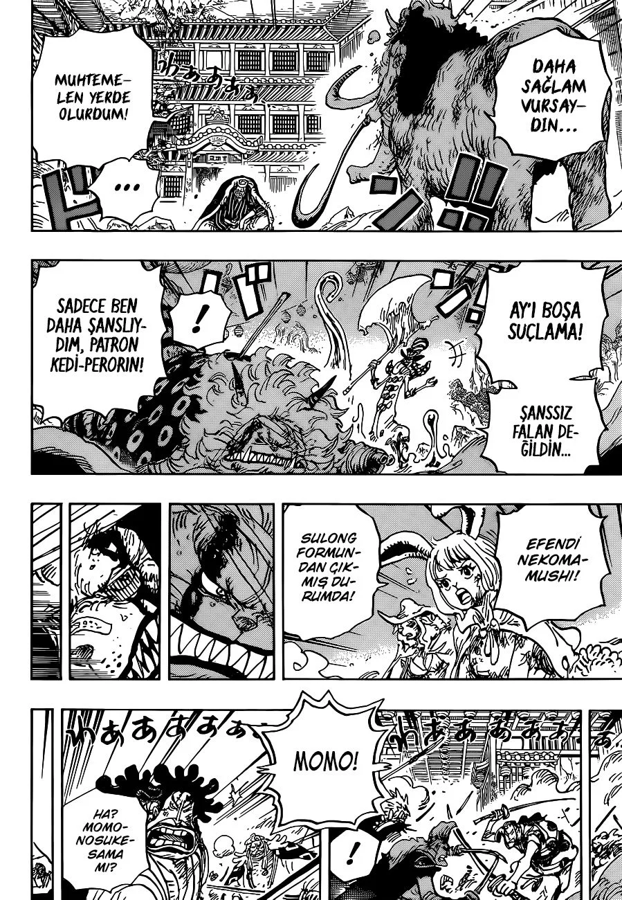 One Piece - Bölüm 1026 - Sayfa 10