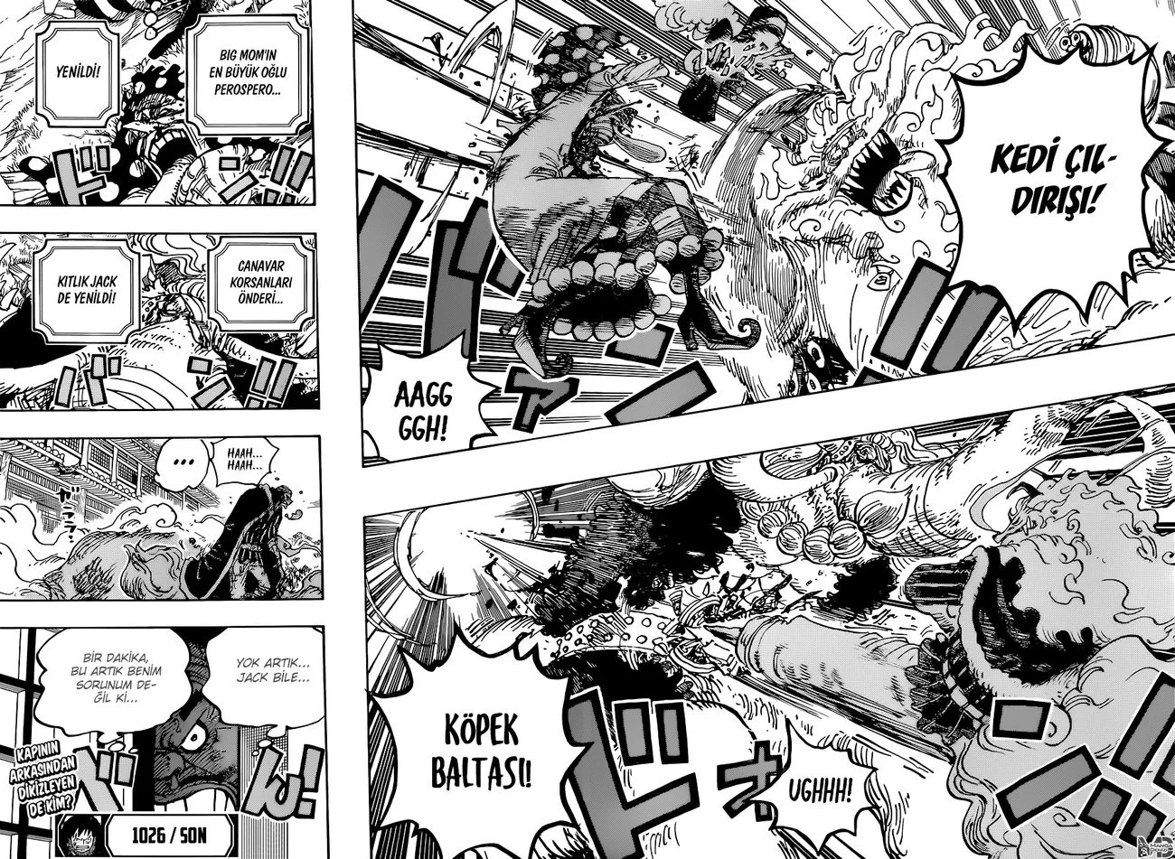 One Piece - Bölüm 1026 - Sayfa 14