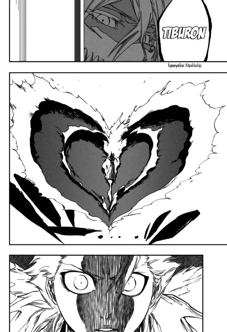 Bleach - Bölüm 355 - Sayfa 13